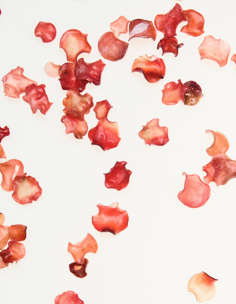Mimco New Arrivals