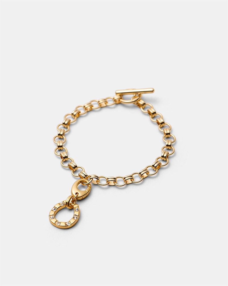 Horse Shoes Charm