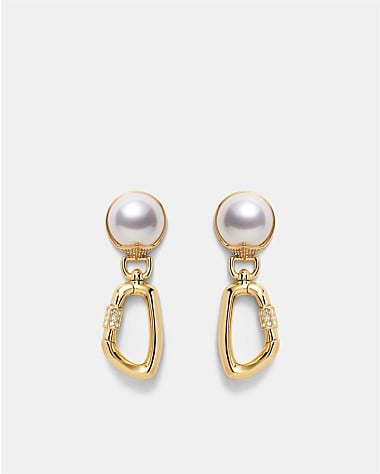 Fabulousness Earrings