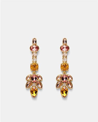 Alluring Drop Earrings