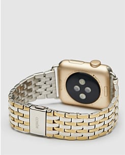 Silver apple discount watch gold band