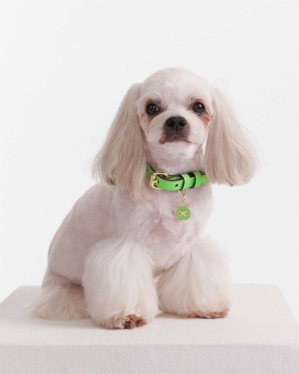 Mimco dog collar store sale