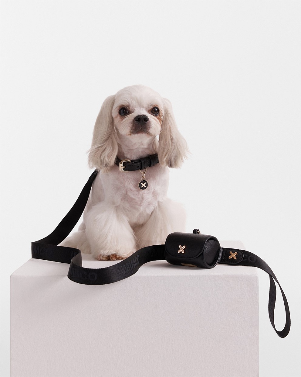 Black Light Gold Pooch Lead Pet Accessories Mimco